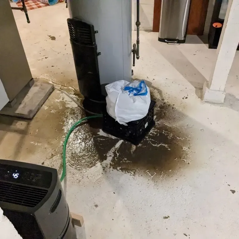 Sewage Backup Cleanup Service in Green Valley, MD